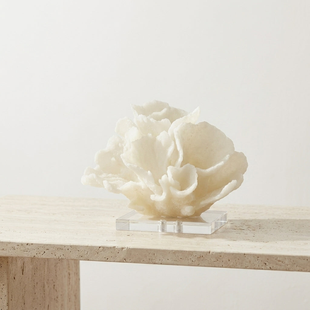 White lettuce coral sculpture styled on a console with books and a small ceramic vase