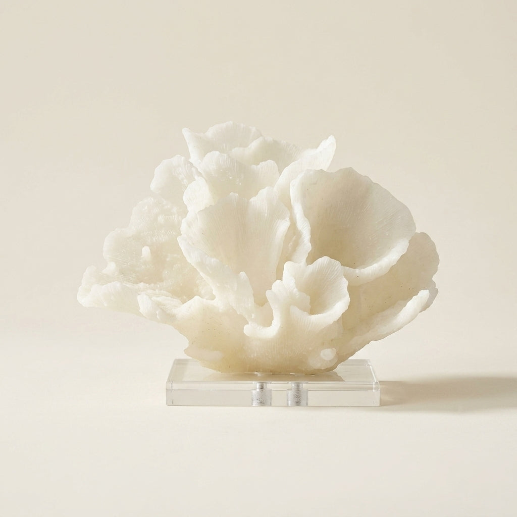 White ruffled lettuce coral sculpture on a clear acrylic block base, on a warm-white studio backdrop