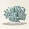 Mint seafoam fan coral sculpture with speckled fronds on a clear acrylic block base, on a warm-white studio backdrop