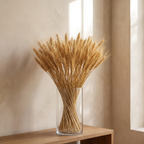 Dried wheat stalks in a glass cylinder vase against a soft plaster wall